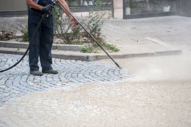 Best Sidewalk and Walkway Cleaning  in Gunnison, CO